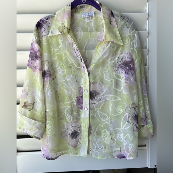 C. B. Collections - XL Petite- 3/4 length Sleeve Green/Purple Shear Top - Picture 2 of 6